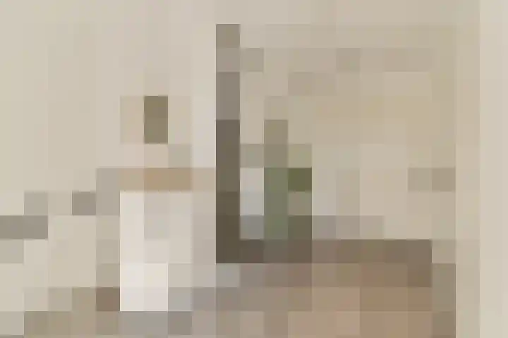 Pieter de Hooghstraat 27 in Delft