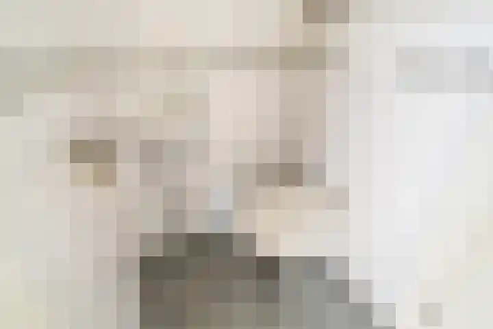 Pieter de Hooghstraat 27 Delft thumbnail 9