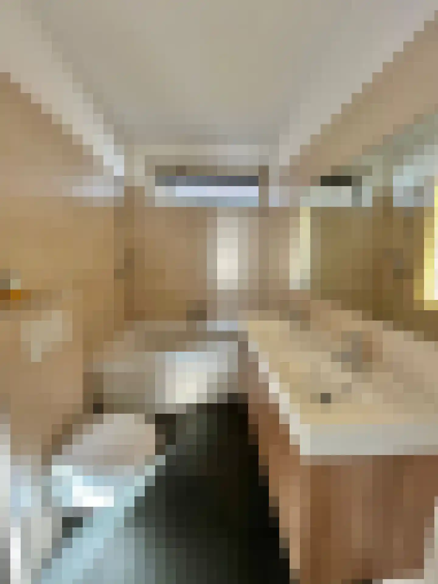 Pieter de Hooghstraat 27 Kerkrade thumbnail 10