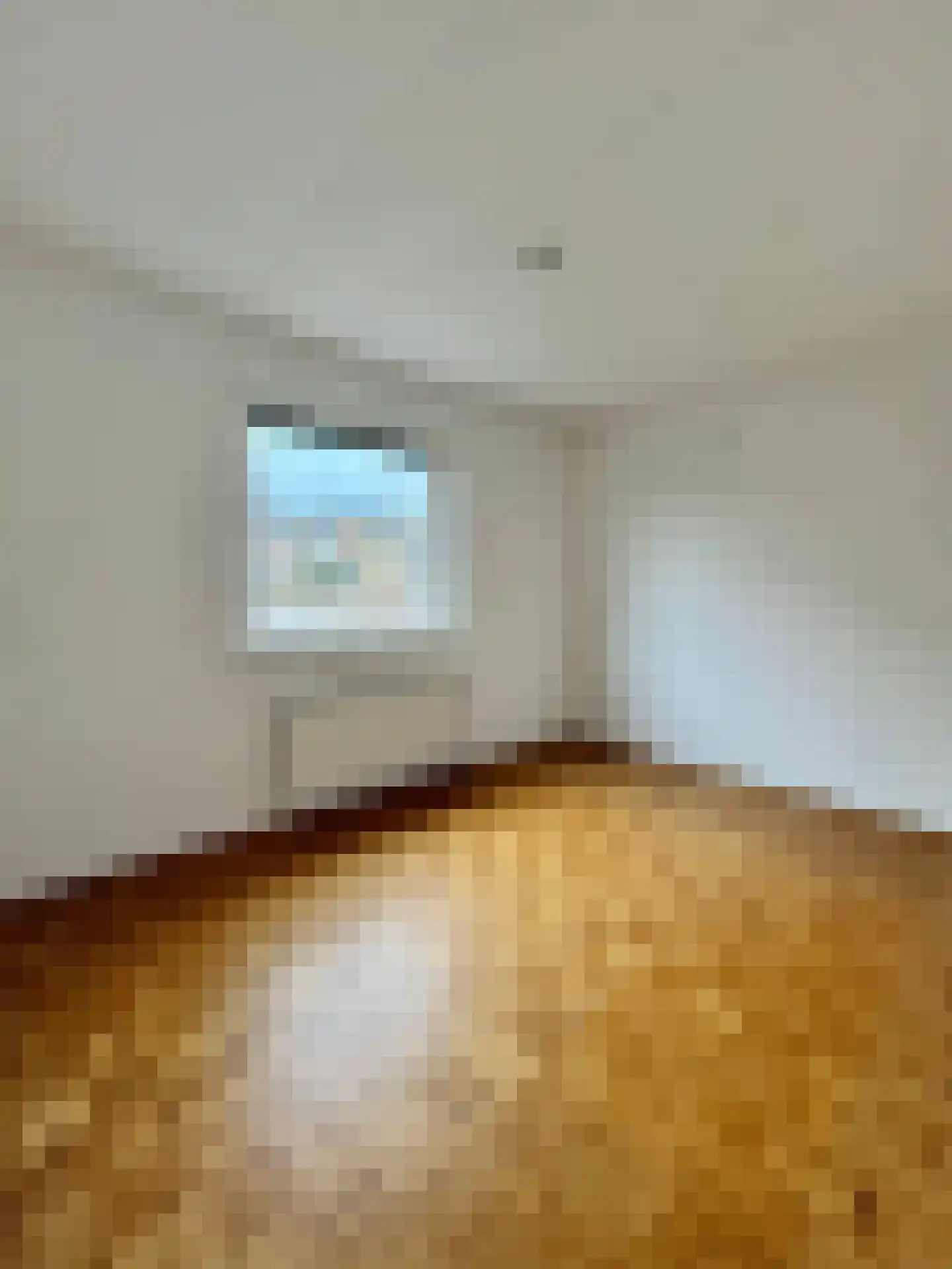 Pieter de Hooghstraat 27 Kerkrade thumbnail 11