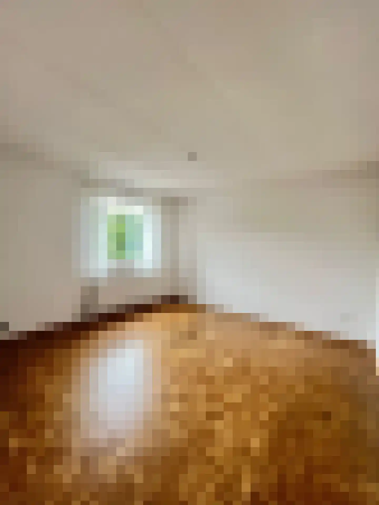 Pieter de Hooghstraat 27 Kerkrade thumbnail 13