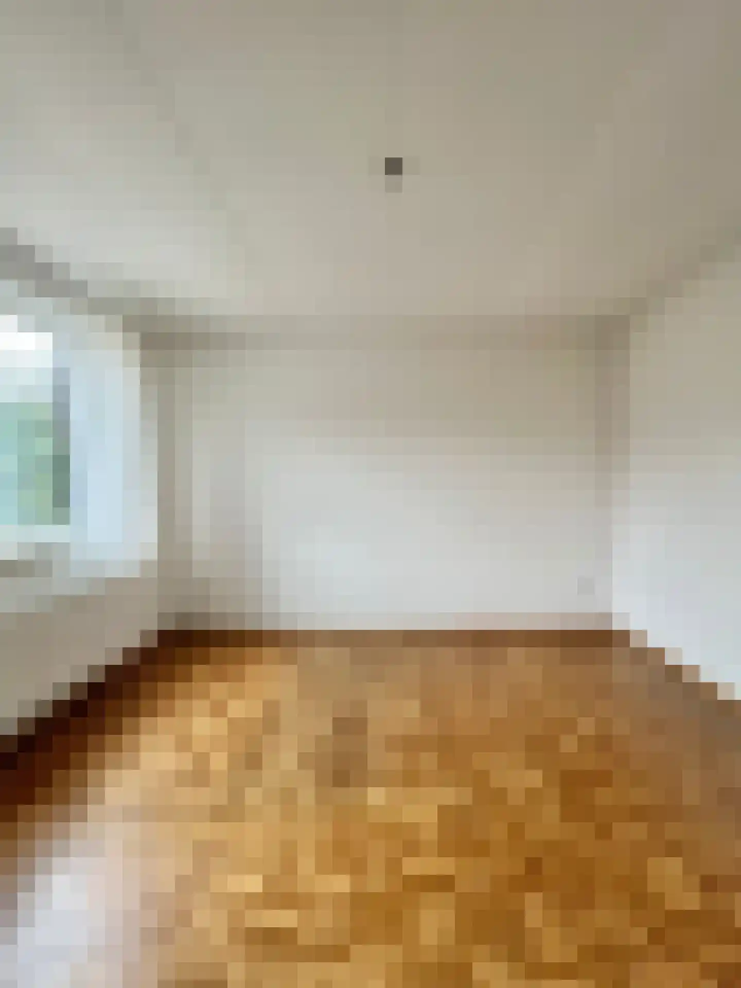 Pieter de Hooghstraat 27 Kerkrade thumbnail 15
