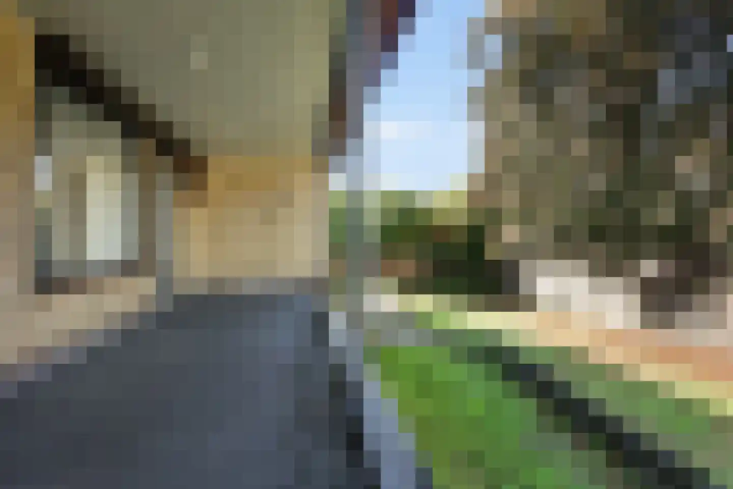 Pieter de Hooghstraat 27 Kerkrade thumbnail 21