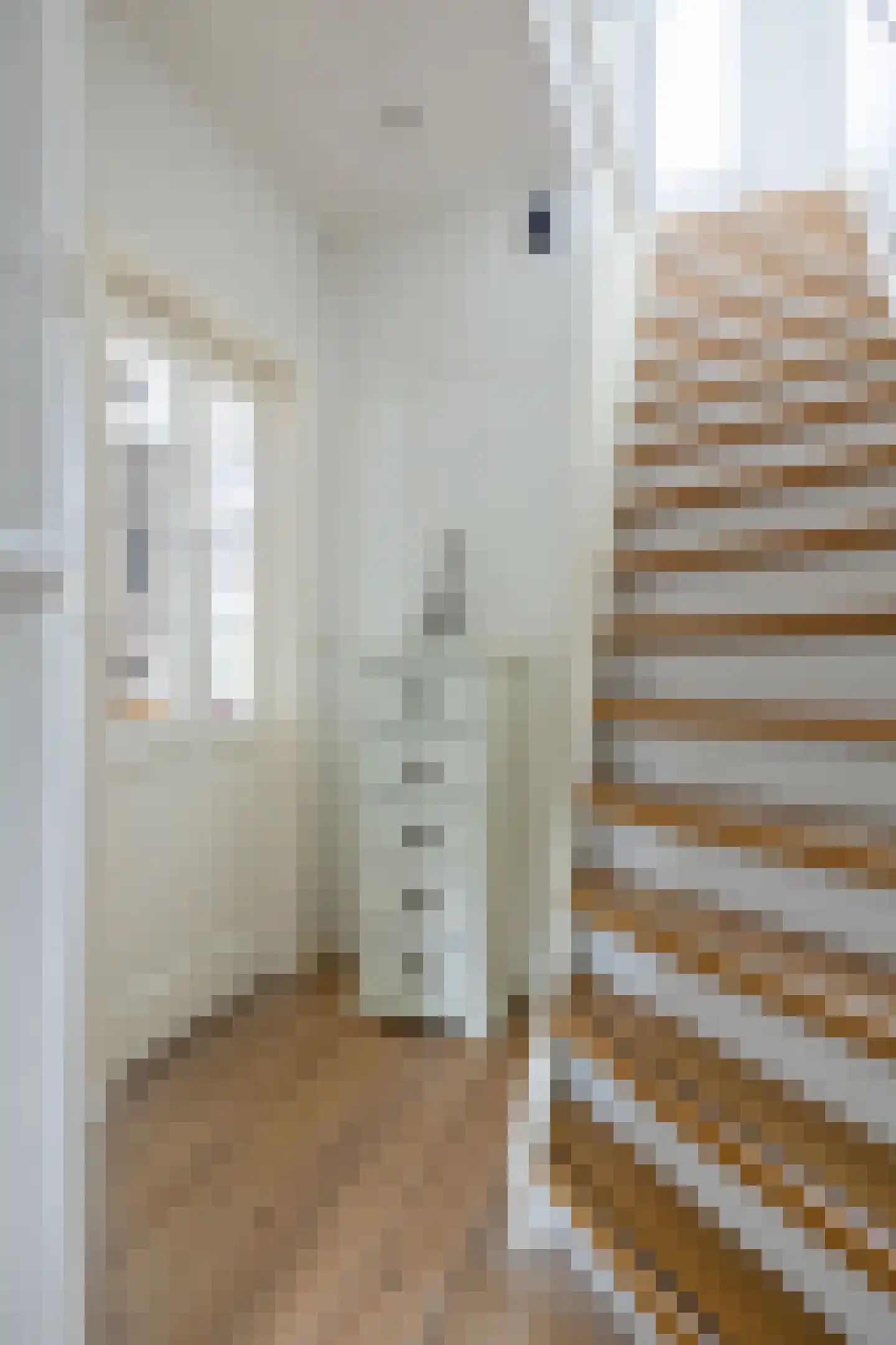 Pieter de Hooghstraat 27 Leeuwarden thumbnail 11