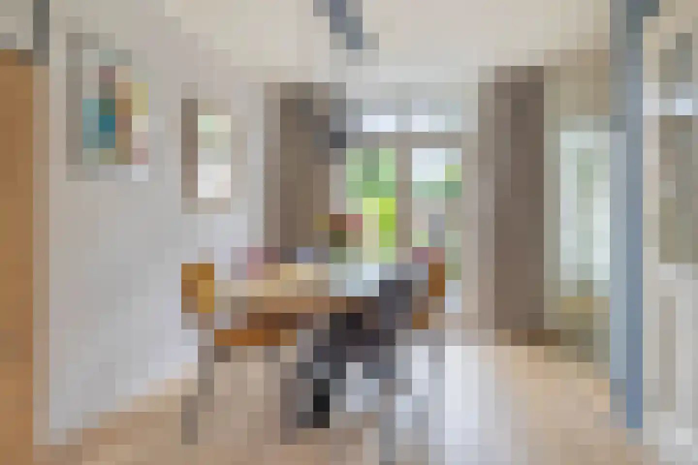 Pieter de Hooghstraat 27 Leeuwarden thumbnail 16