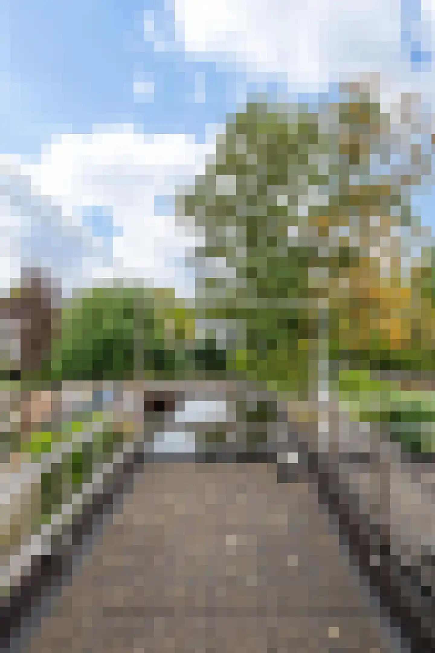 Pieter de Hooghstraat 27 Leeuwarden thumbnail 32