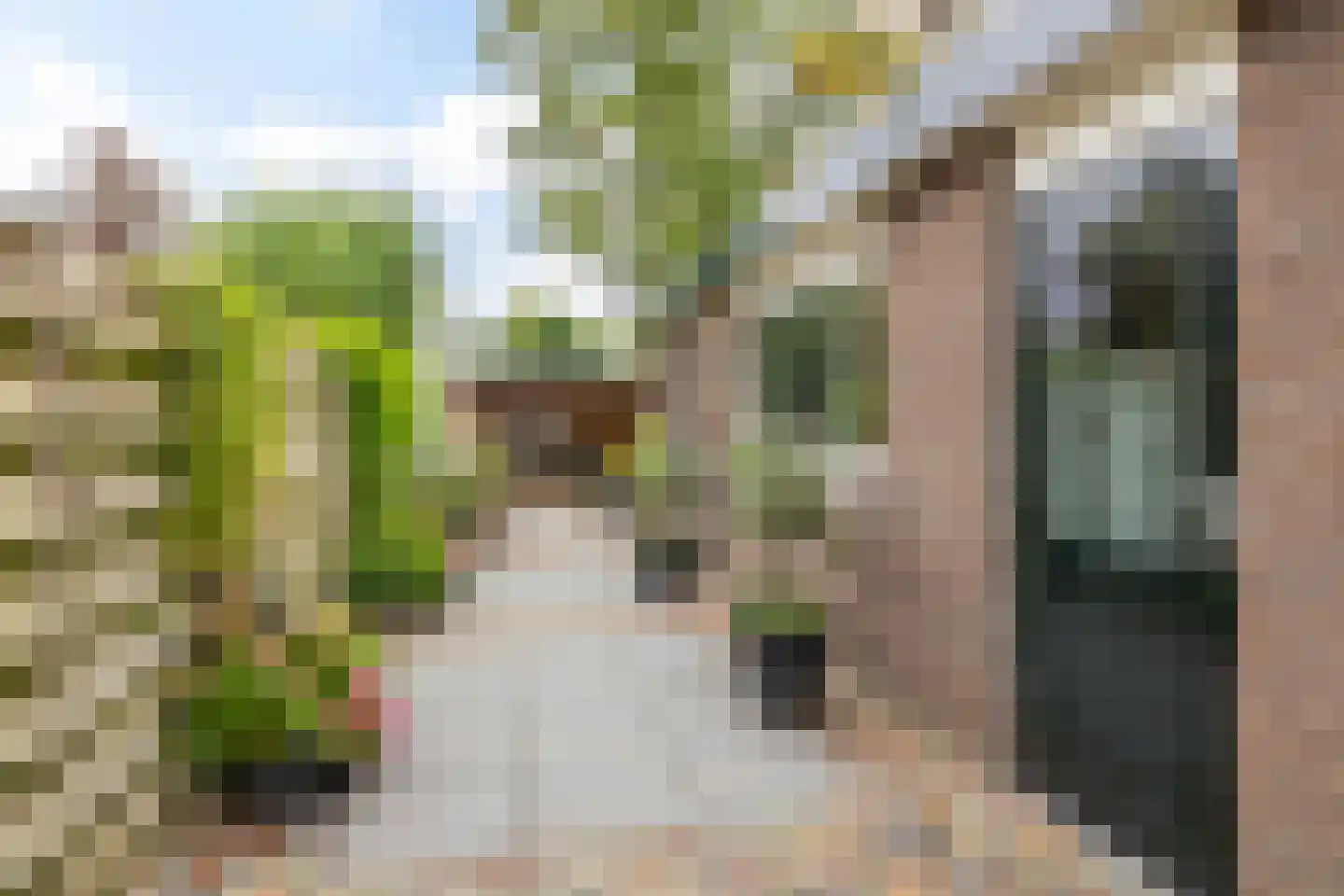Pieter de Hooghstraat 27 Leeuwarden thumbnail 48