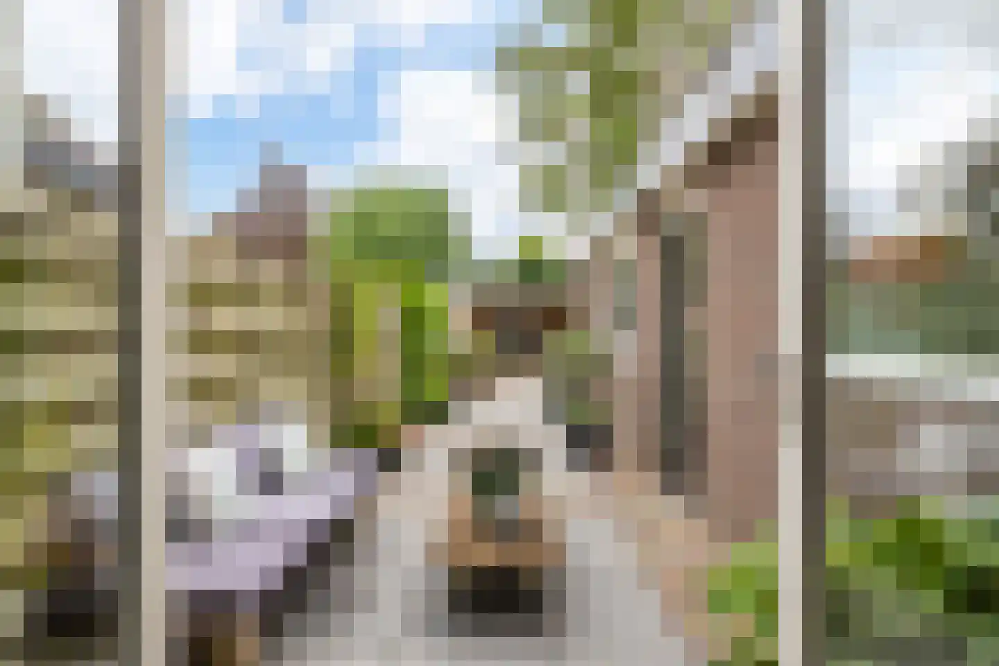 Pieter de Hooghstraat 27 Leeuwarden thumbnail 5