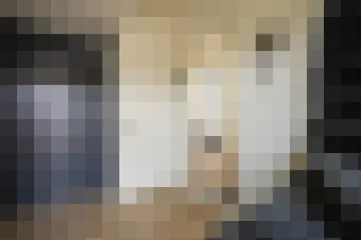 Pieter de Hooghstraat 28 Kerkrade thumbnail 13
