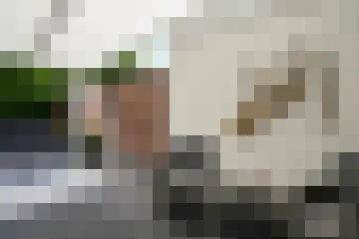 Pieter de Hooghstraat 28 Kerkrade thumbnail 21