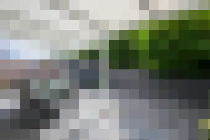 Pieter de Hooghstraat 28 Kerkrade thumbnail 23