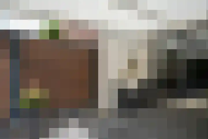 Pieter de Hooghstraat 28 Kerkrade thumbnail 26