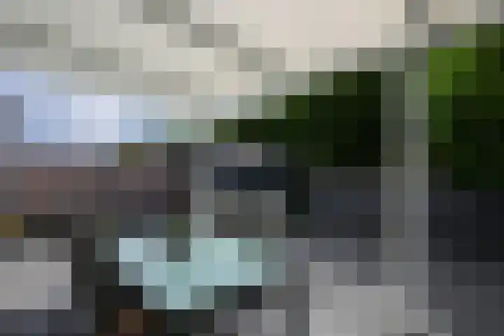 Pieter de Hooghstraat 28 Kerkrade thumbnail 32