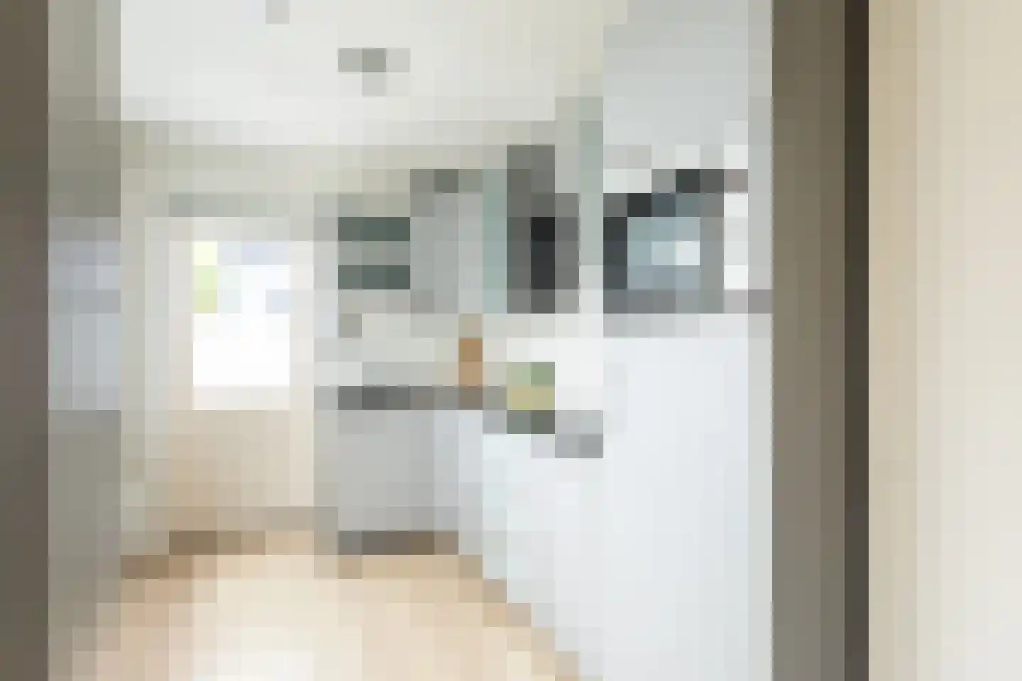 Pieter de Hooghstraat 3 Terneuzen thumbnail 12