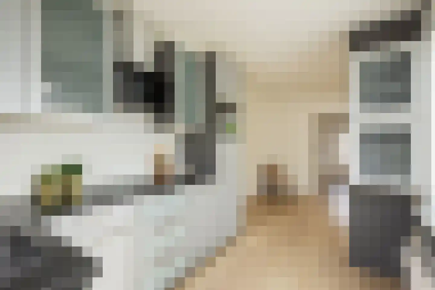 Pieter de Hooghstraat 3 Terneuzen thumbnail 13