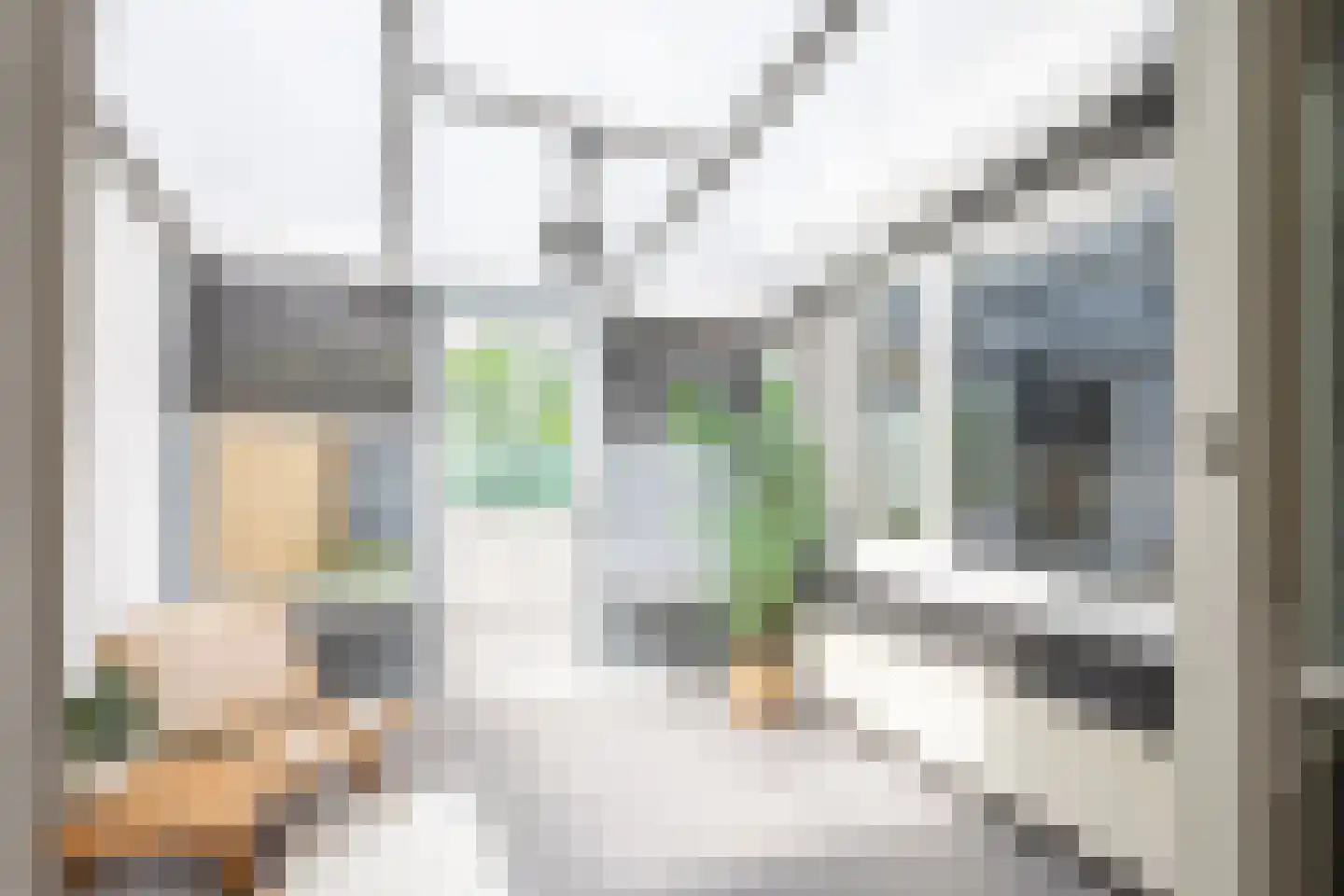 Pieter de Hooghstraat 3 Terneuzen thumbnail 14