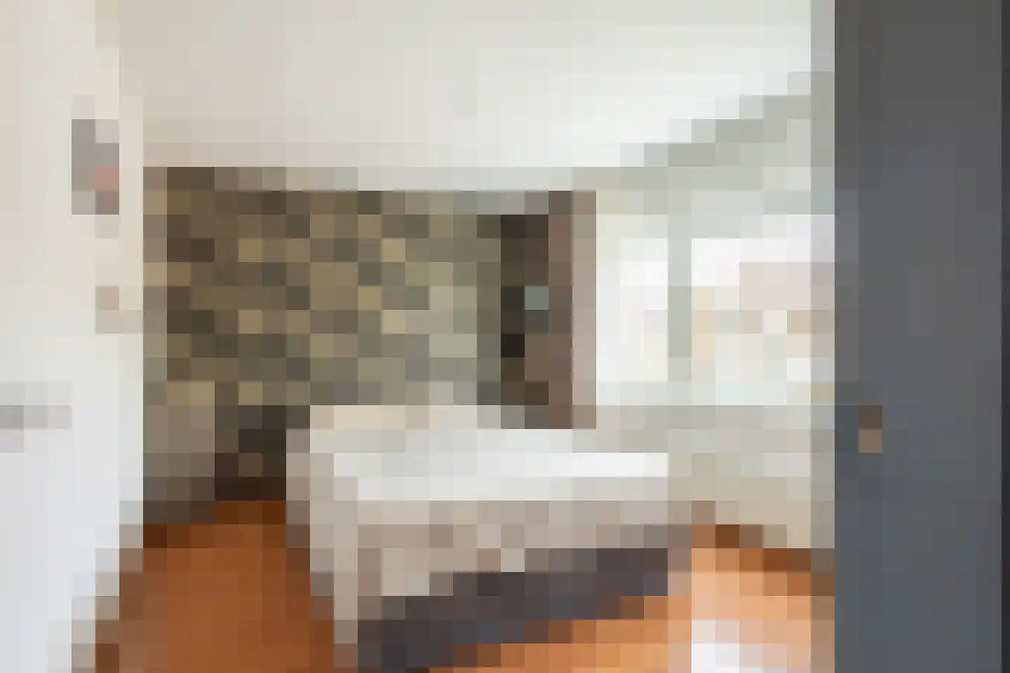 Pieter de Hooghstraat 3 Terneuzen thumbnail 18
