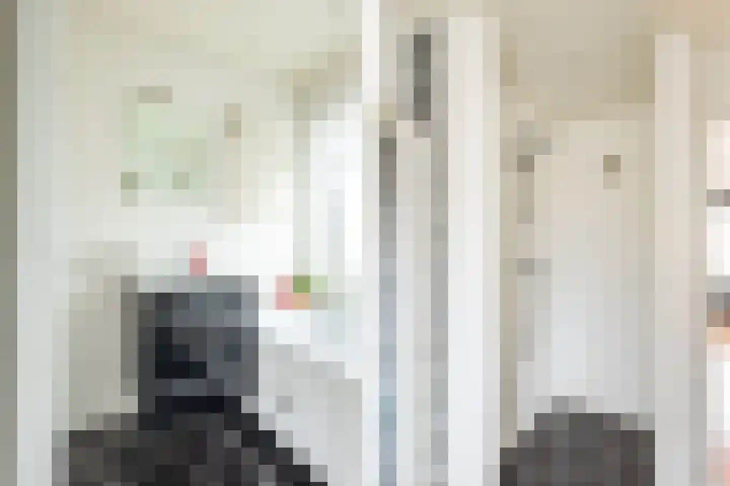 Pieter de Hooghstraat 3 Terneuzen thumbnail 23