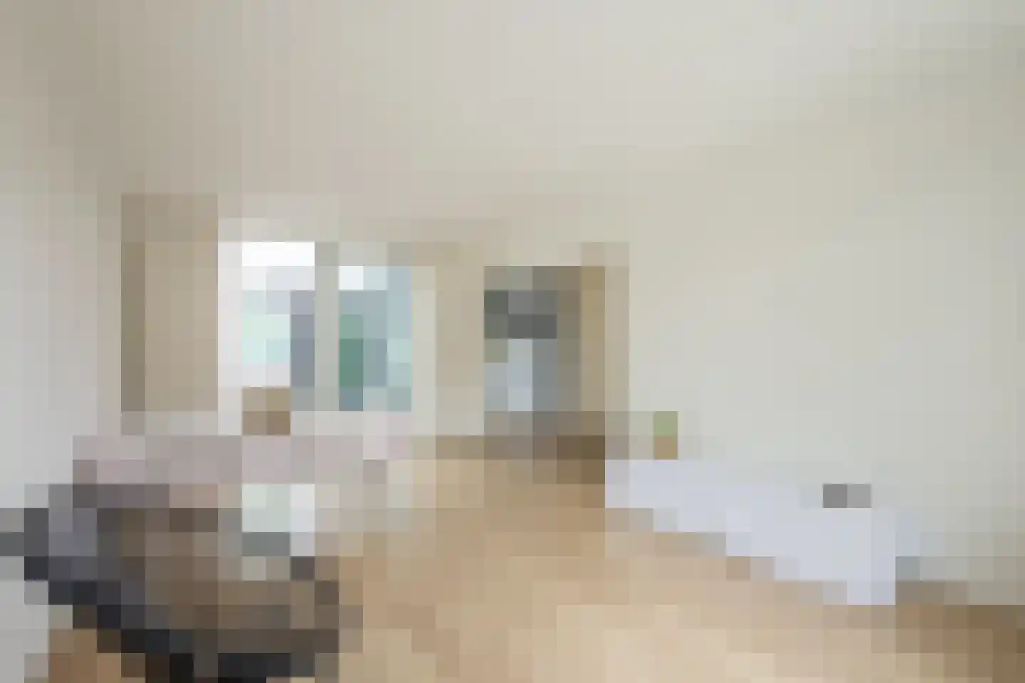 Pieter de Hooghstraat 3 Terneuzen thumbnail 9