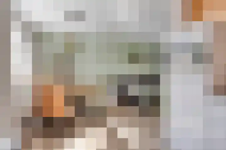 Pieter de Hooghstraat 31 Fijnaart thumbnail 11