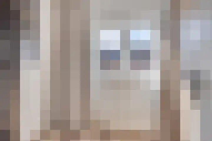 Pieter de Hooghstraat 31 Fijnaart thumbnail 17