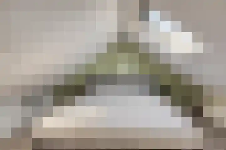 Pieter de Hooghstraat 31 Fijnaart thumbnail 20