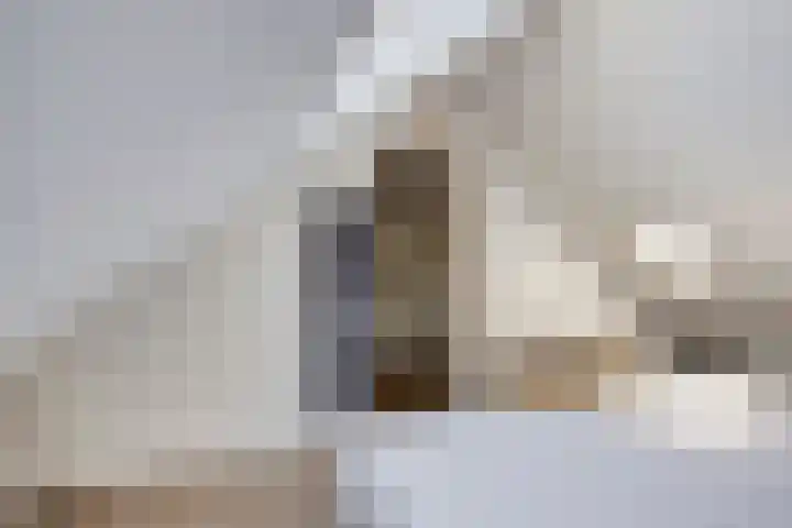 Pieter de Hooghstraat 31 Fijnaart thumbnail 21