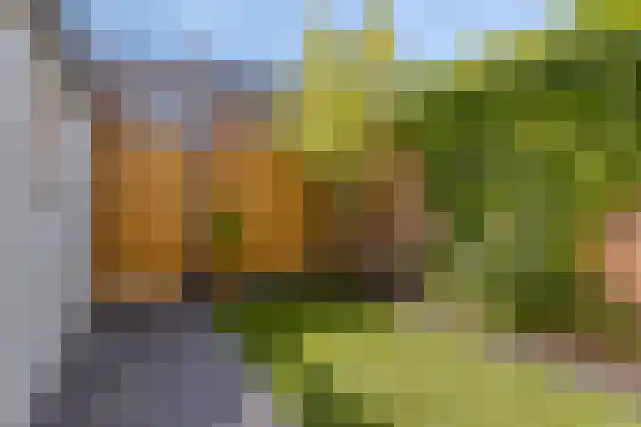 Pieter de Hooghstraat 31 Fijnaart thumbnail 22