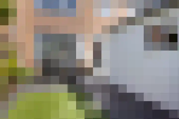 Pieter de Hooghstraat 31 Fijnaart thumbnail 23