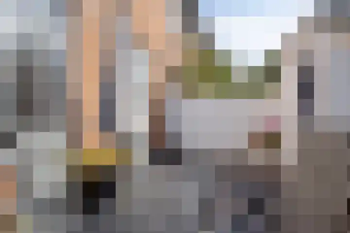 Pieter de Hooghstraat 31 Fijnaart thumbnail 24