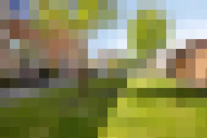 Pieter de Hooghstraat 31 Fijnaart thumbnail 25