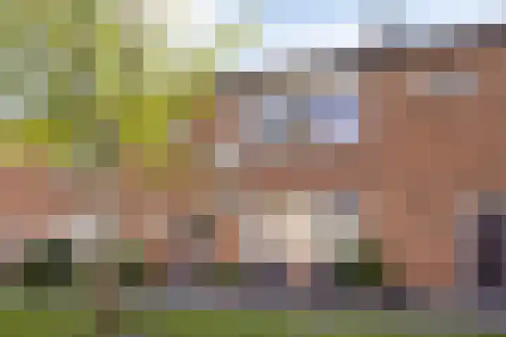 Pieter de Hooghstraat 31 Fijnaart thumbnail 31