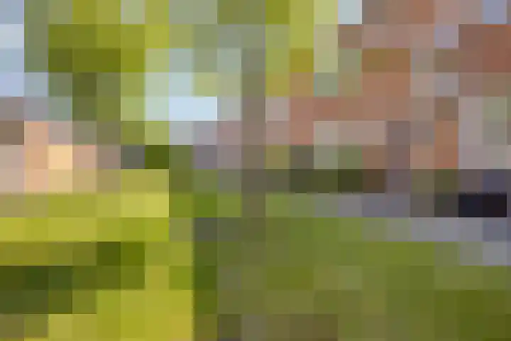 Pieter de Hooghstraat 31 Fijnaart thumbnail 4