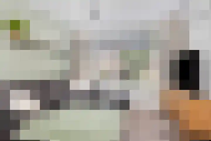 Pieter de Hooghstraat 31 Fijnaart thumbnail 7