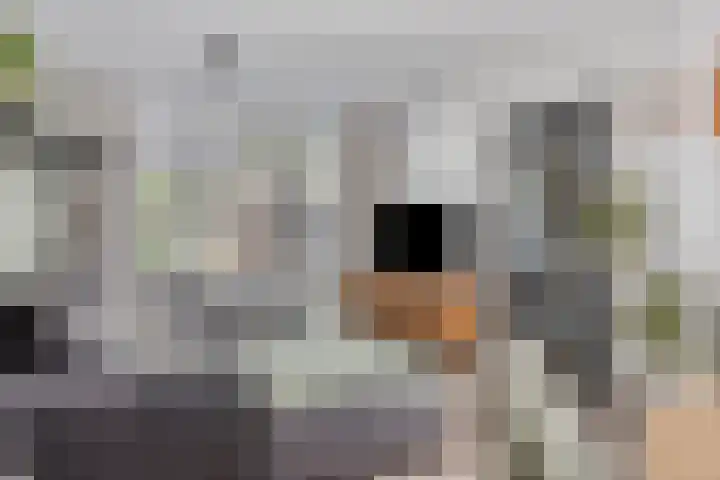 Pieter de Hooghstraat 31 Fijnaart thumbnail 8