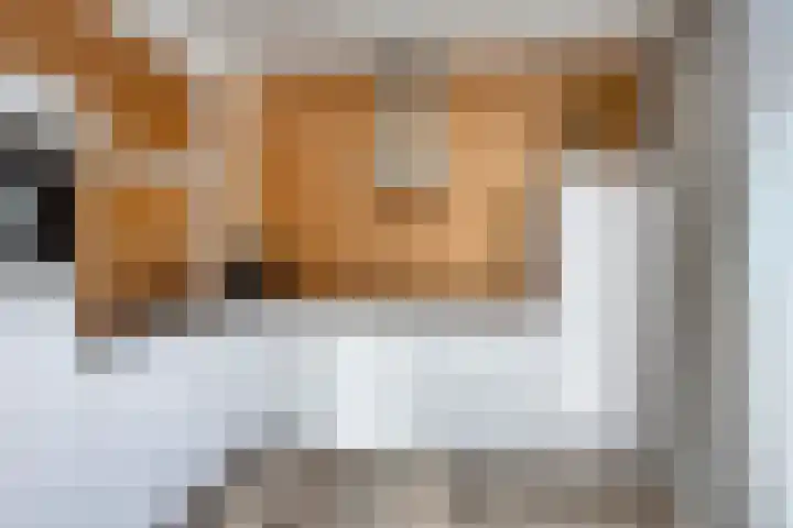 Pieter de Hooghstraat 31 Fijnaart thumbnail 9