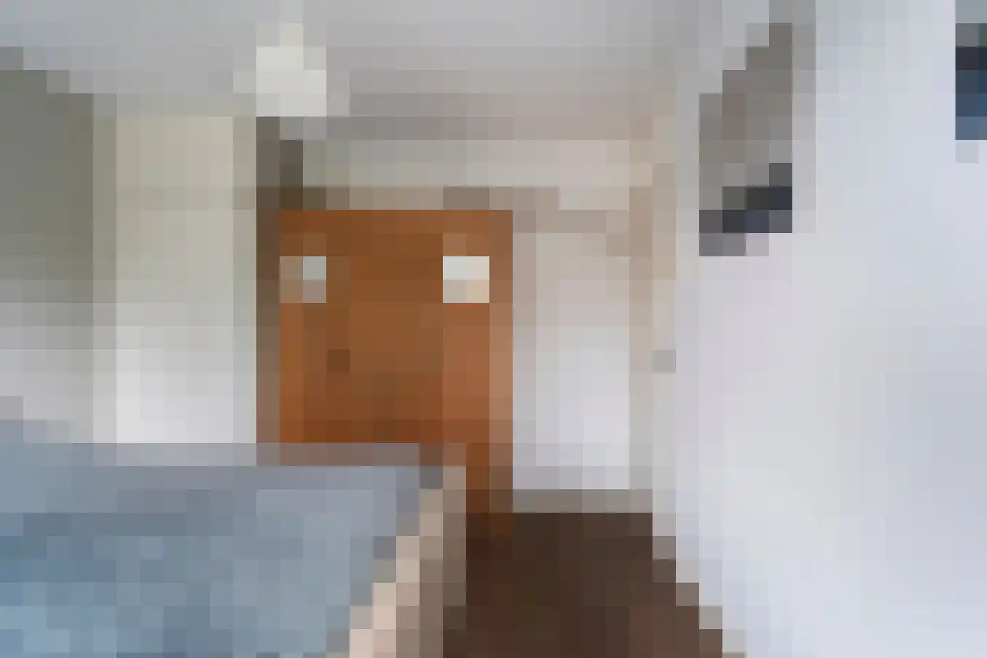 Pieter de Hooghstraat 33 Hoogeveen thumbnail 24