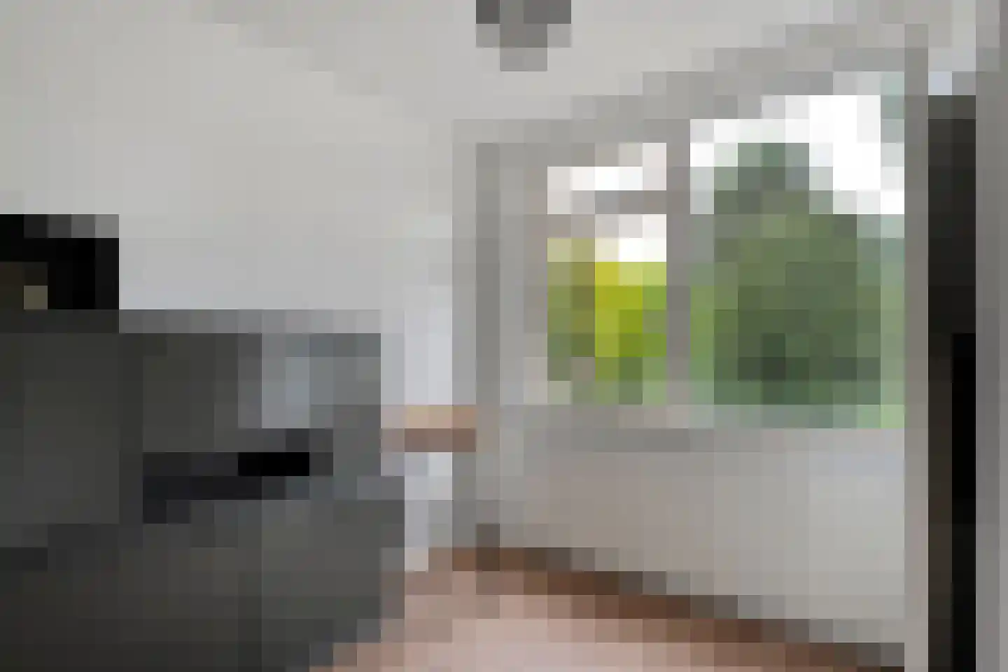 Pieter de Hooghstraat 33 Hoogeveen thumbnail 27