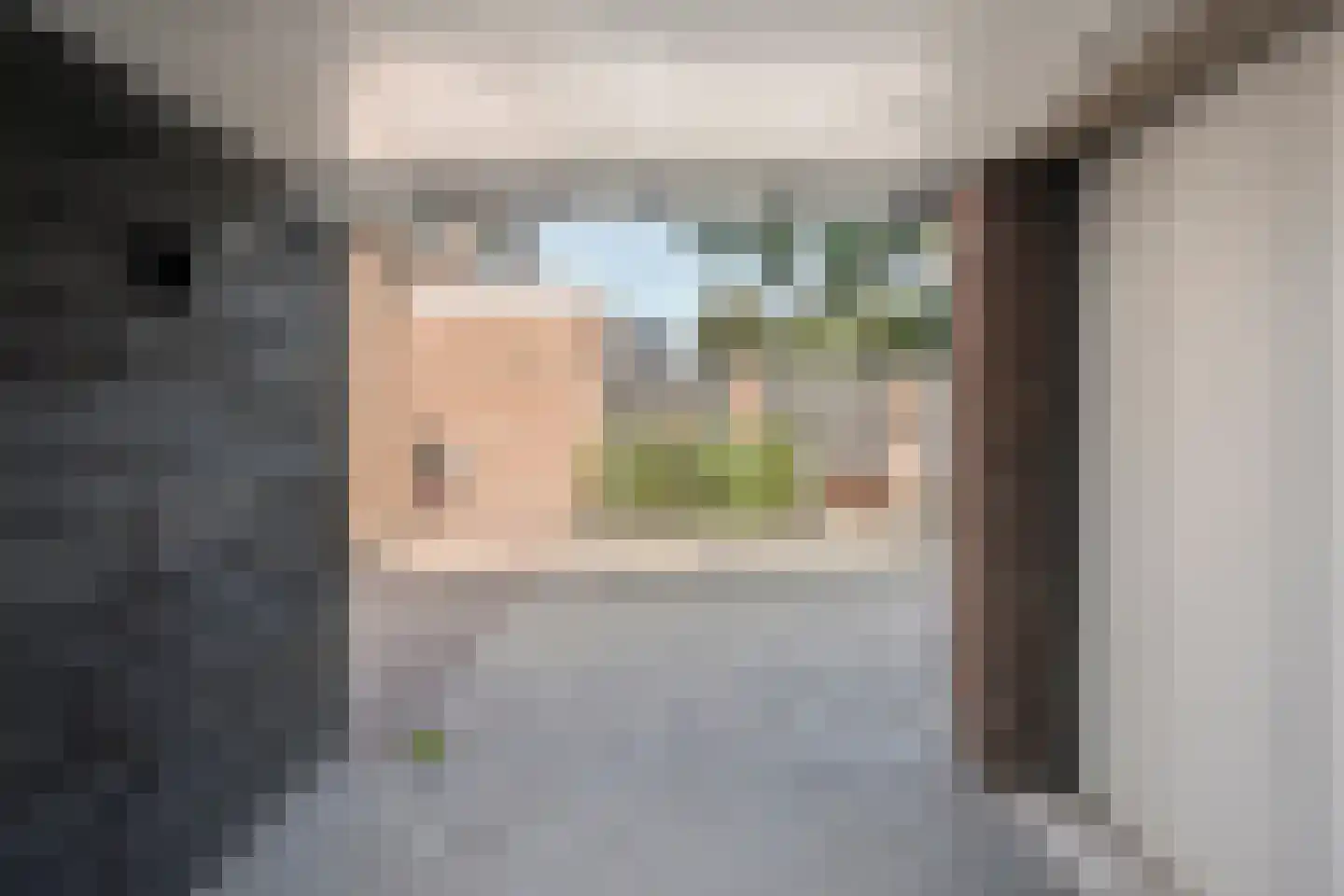 Pieter de Hooghstraat 33 Hoogeveen thumbnail 38