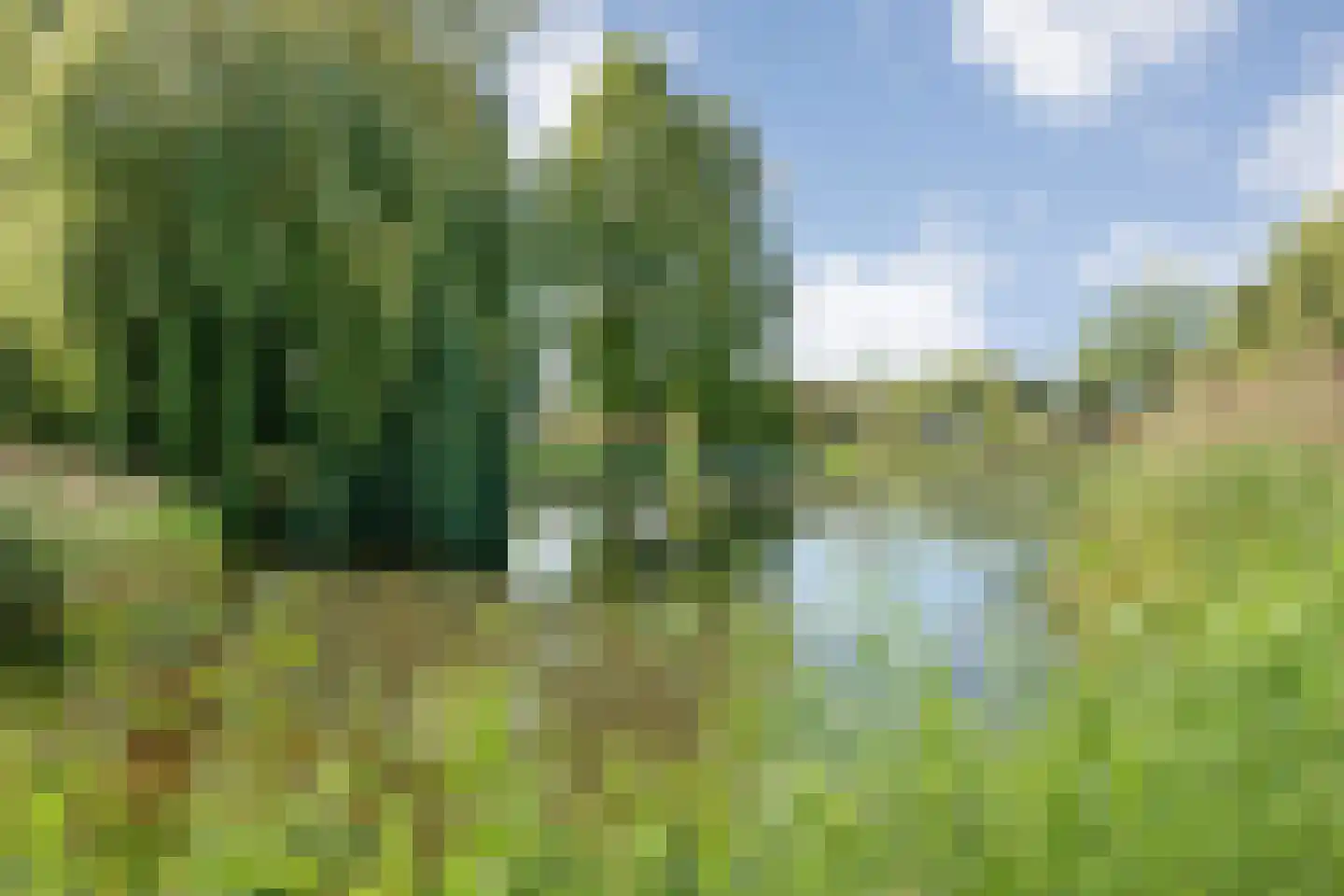 Pieter de Hooghstraat 33 Hoogeveen thumbnail 52