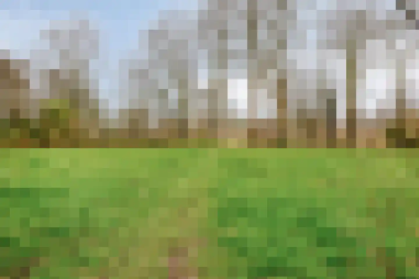 Pieter de Hooghstraat 34 Heerhugowaard thumbnail 28