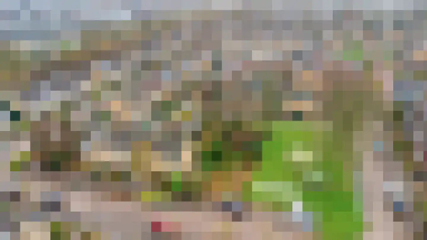 Pieter de Hooghstraat 34 Heerhugowaard thumbnail 35