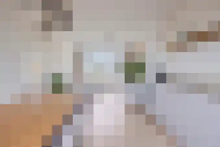 Pieter de Hooghstraat 35 B Spijkenisse thumbnail 11