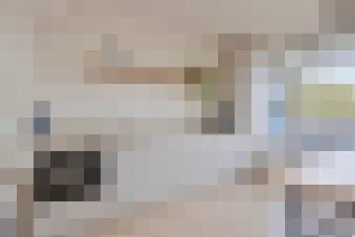 Pieter de Hooghstraat 35 B Spijkenisse thumbnail 12