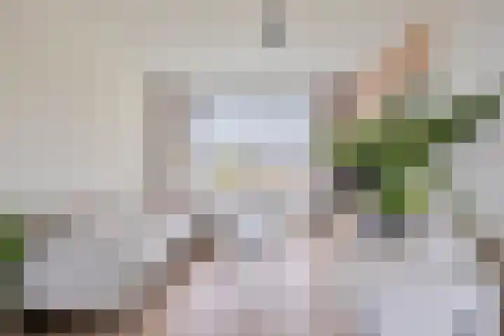 Pieter de Hooghstraat 35 B Spijkenisse thumbnail 5