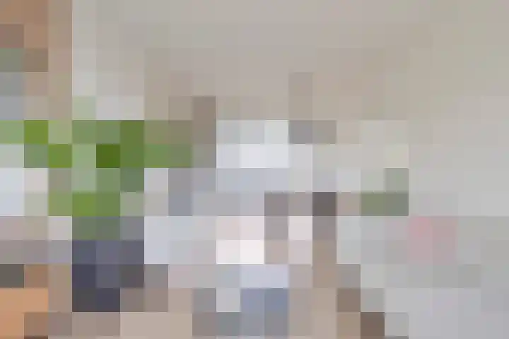 Pieter de Hooghstraat 35 B Spijkenisse thumbnail 6