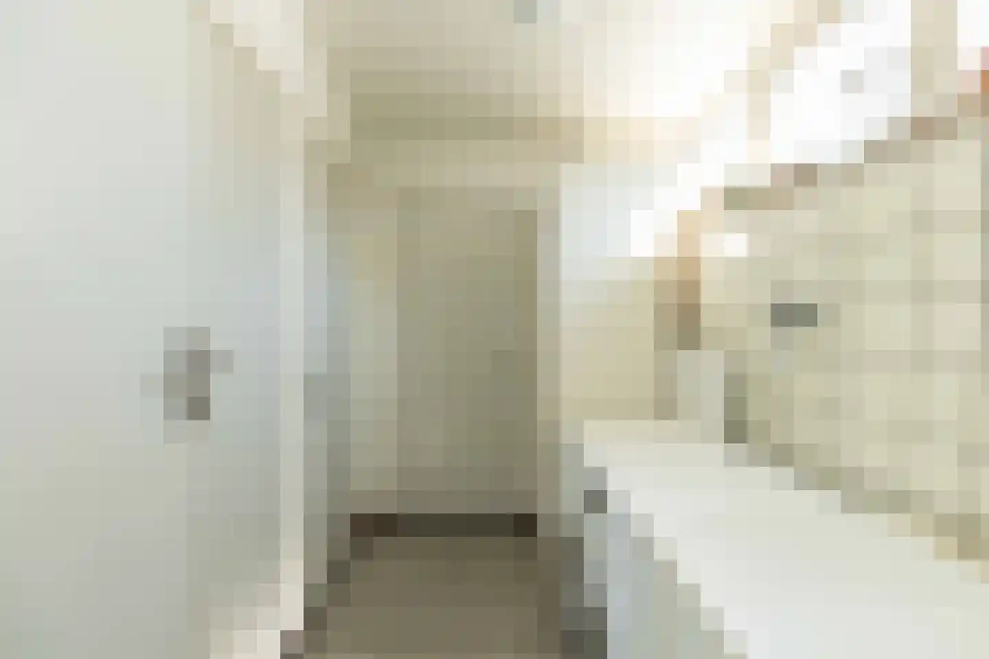 Pieter de Hooghstraat 35 Hoogeveen thumbnail 24