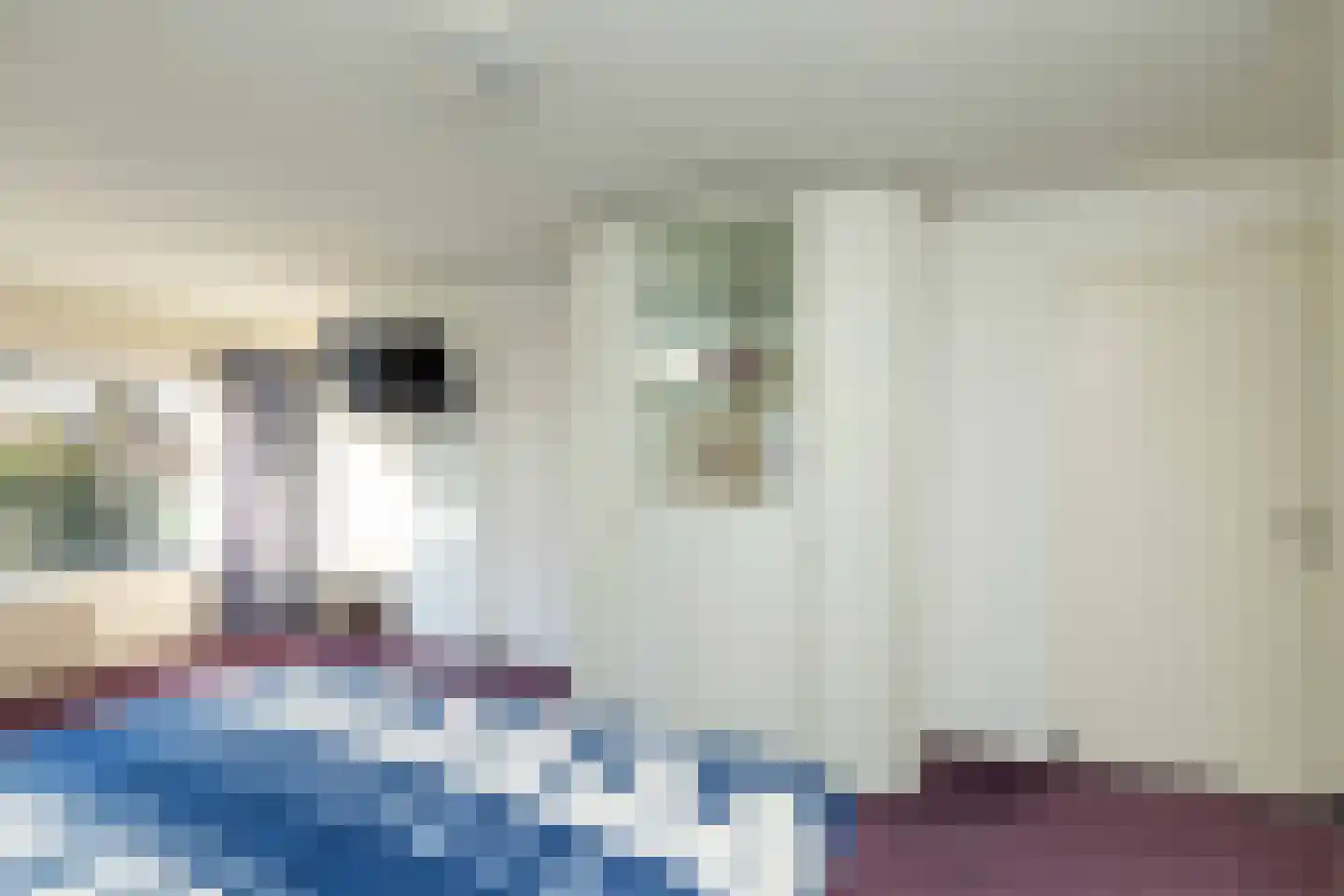 Pieter de Hooghstraat 35 Hoogeveen thumbnail 31