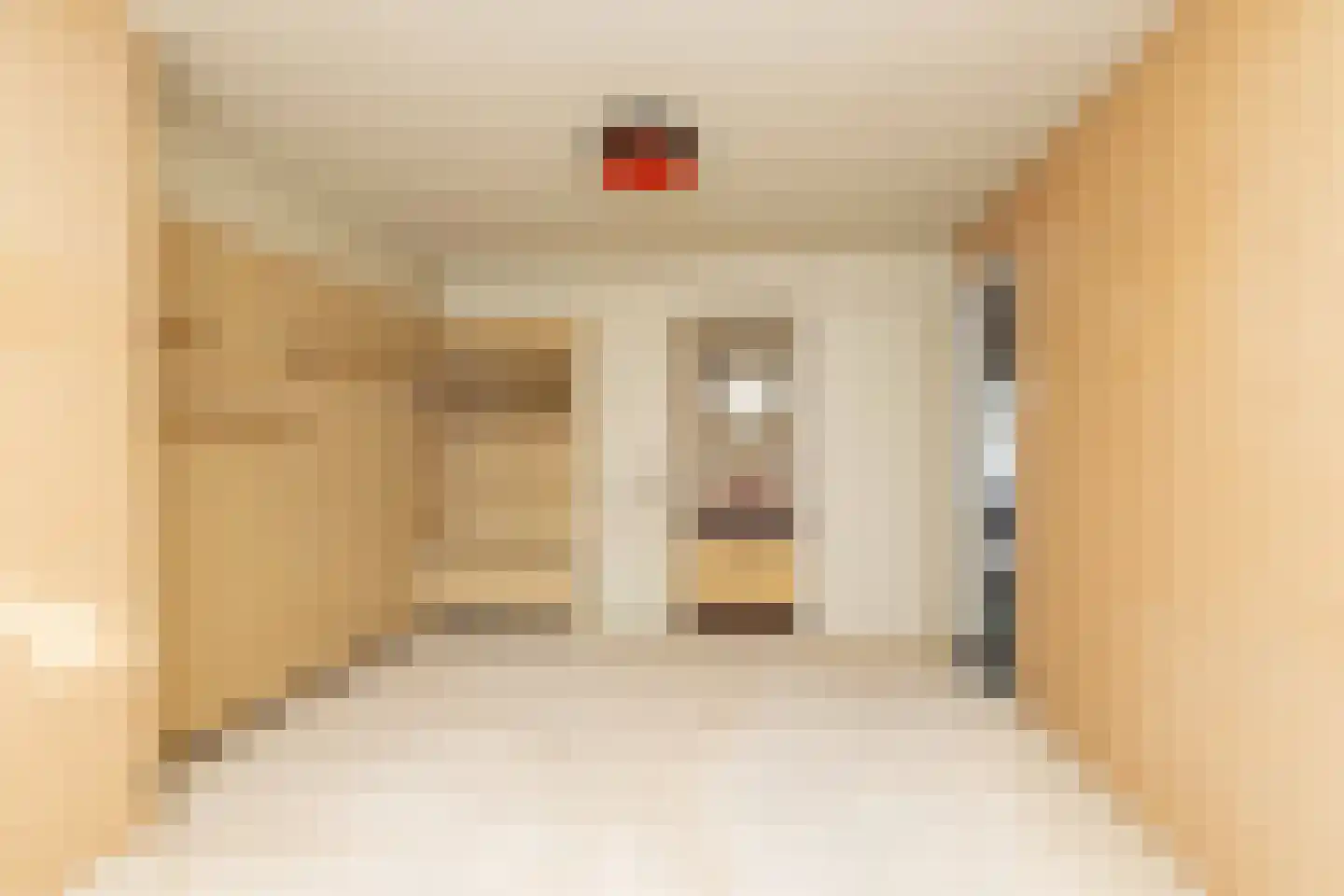 Pieter de Hooghstraat 35 Hoogeveen thumbnail 36