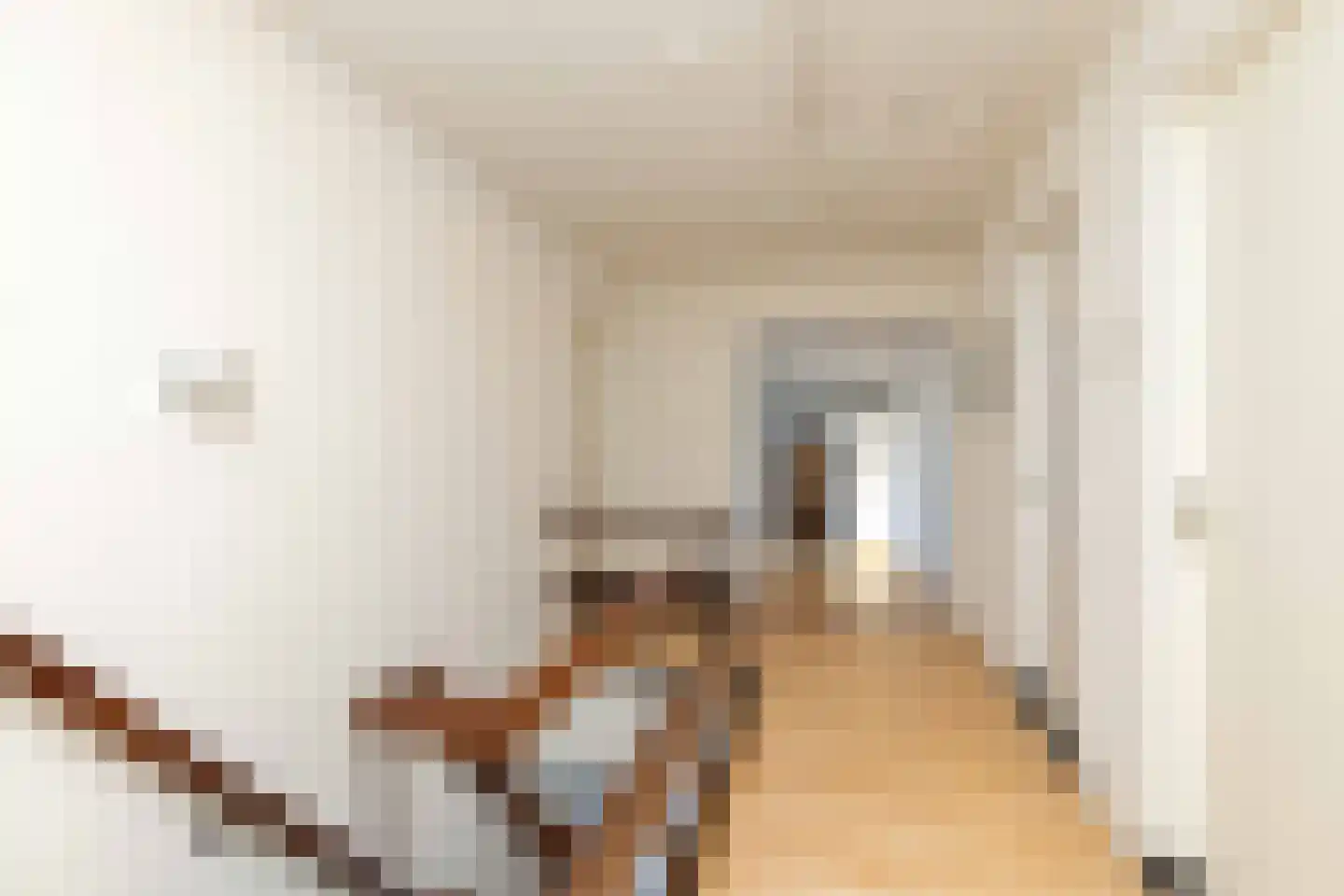 Pieter de Hooghstraat 35 Hoogeveen thumbnail 37